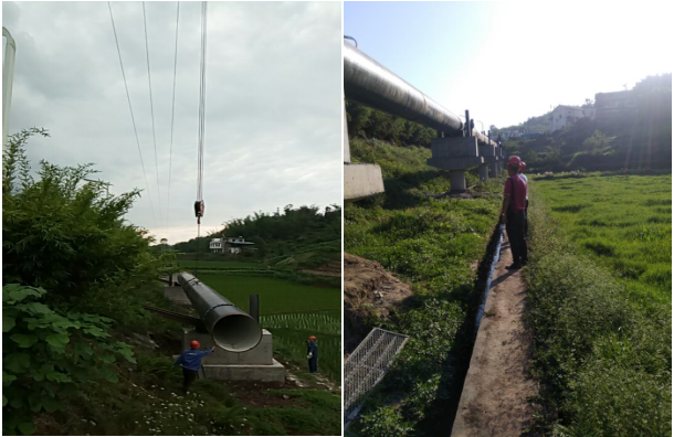 節(jié)物風光不相待，滄海桑田須臾改