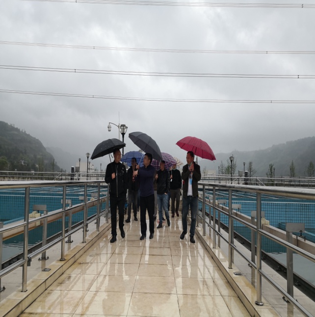 集團領導深入一線督查安全生產(chǎn)工作