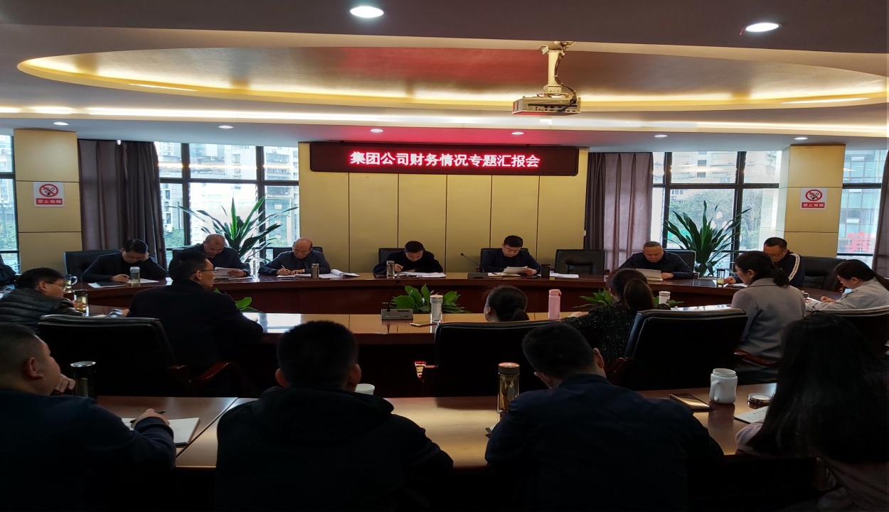 集團(tuán)公司召開(kāi)財(cái)務(wù)情況專(zhuān)題匯報(bào)會(huì)