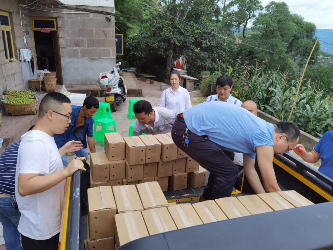 集團(tuán)公司領(lǐng)導(dǎo)深入栗子村開展脫貧攻堅(jiān)幫扶工作