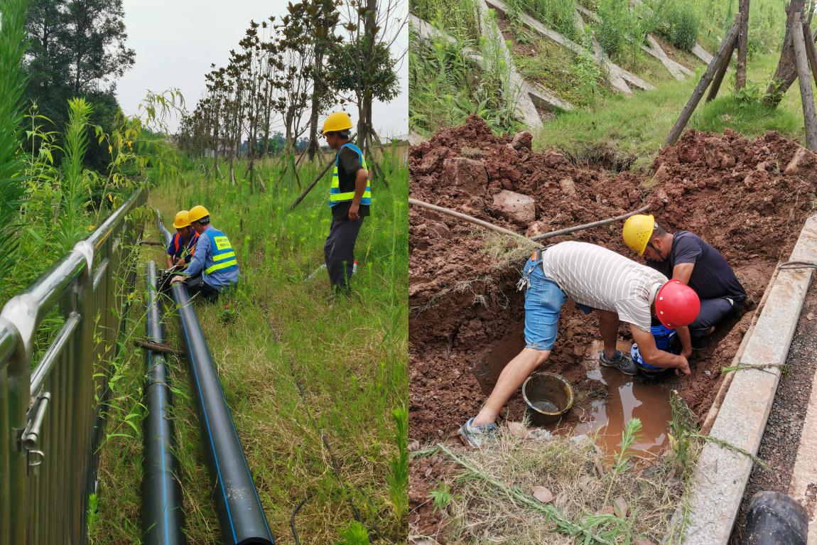 集團(tuán)公司黨委書記、董事長(zhǎng)周燕賓深入基層開展“為群眾辦實(shí)事”工作