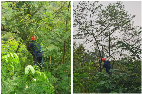 履職盡責顯擔當 主動作為保供水