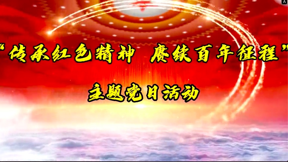 傳承紅色精神，賡續(xù)百年征程-共產(chǎn)黨員服務(wù)大隊主題黨日活動