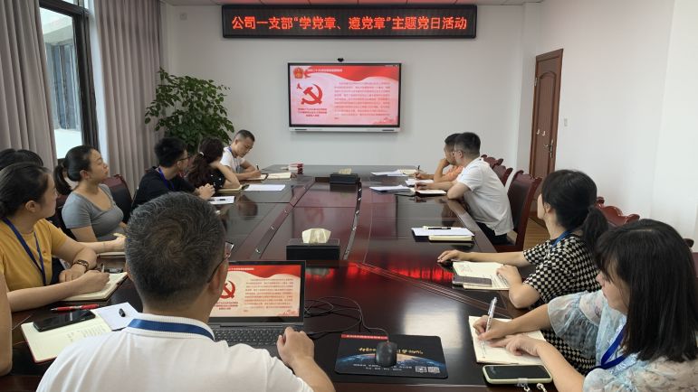 清源水務(wù)公司黨委組織開展“學(xué)黨章、遵黨章”系列主題黨日活動(dòng)